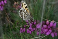 09 08 12_3911_edited-1
